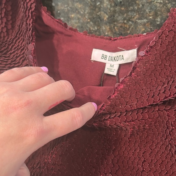 BB Dakota Velvet Sequined Party Dress - Picture 7 of 7